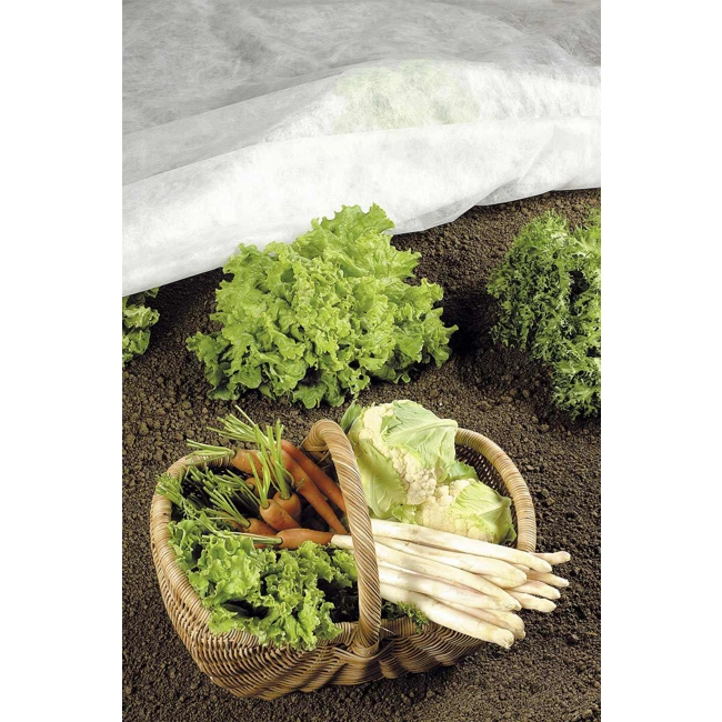 Vendita online Tessuto non tessuto Protex invernale 1,6x10m 